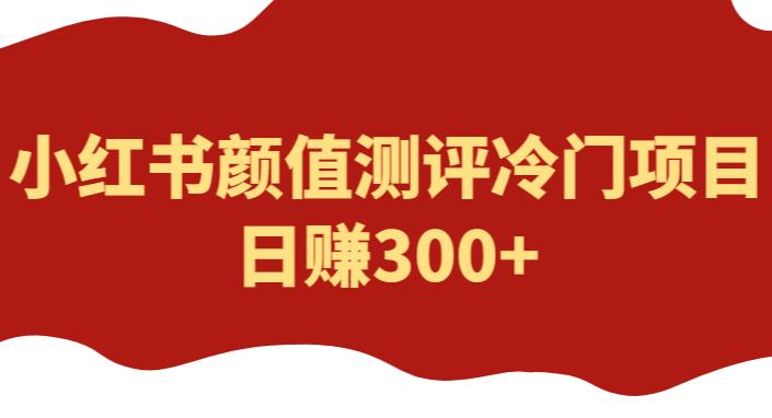 外1980项目，小红书颜值评估冷门项目，日赚300+[揭秘] - 严选资源大全 - 严选资源大全