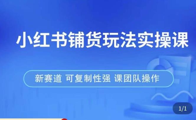 小红书购买游戏玩法实践课，流量大，市场竞争小，容易做，新生态，复制性强，可以实际操作精英团队 - 严选资源大全 - 严选资源大全