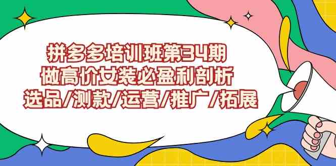 （9333期）拼多多培训班第34期：做高价女装必盈利剖析 选品/测款/运营/推广/拓展 - 严选资源大全 - 严选资源大全