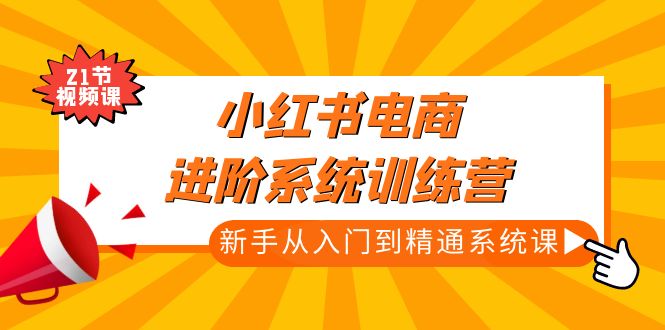 小红书电商进阶系统训练营：新手从入门到精通系统课（21节视频课） - 严选资源大全 - 严选资源大全