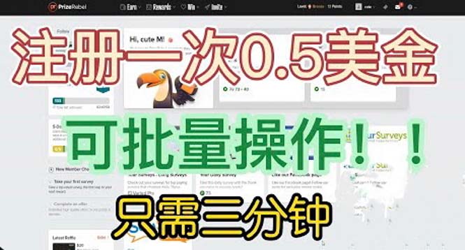 国外项目注册一次0.5美金 只需三分钟无脑操作 可批量放大 小白工作室福利 - 严选资源大全 - 严选资源大全