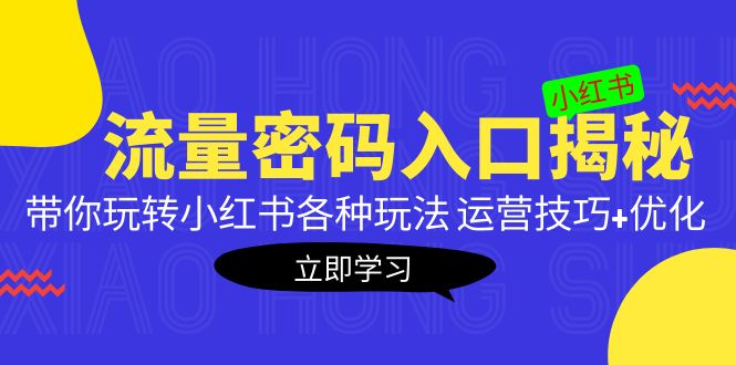 小红书流量密码入口揭秘：带你玩转小红书各种玩法 运营技巧+优化！ - 严选资源大全 - 严选资源大全