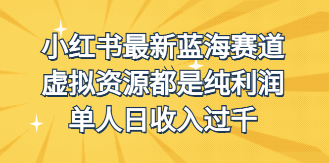 外面收费1980的小红书最新蓝海赛道，虚拟资源都是纯利润，单人日收入过千 - 严选资源大全 - 严选资源大全