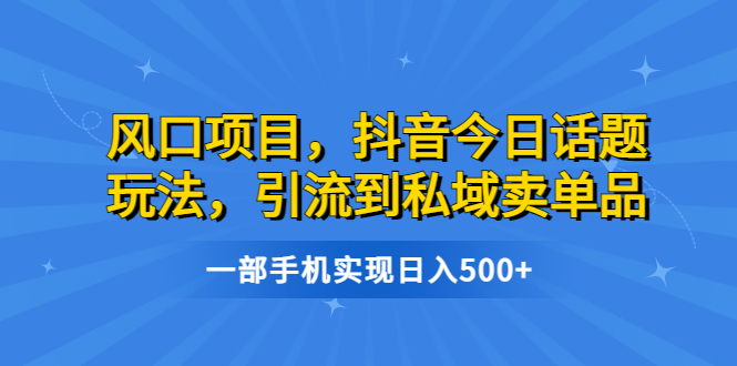 风口项目，抖音今日话题玩法，引流到私域卖单品，一部手机实现日入500+ - 严选资源大全 - 严选资源大全