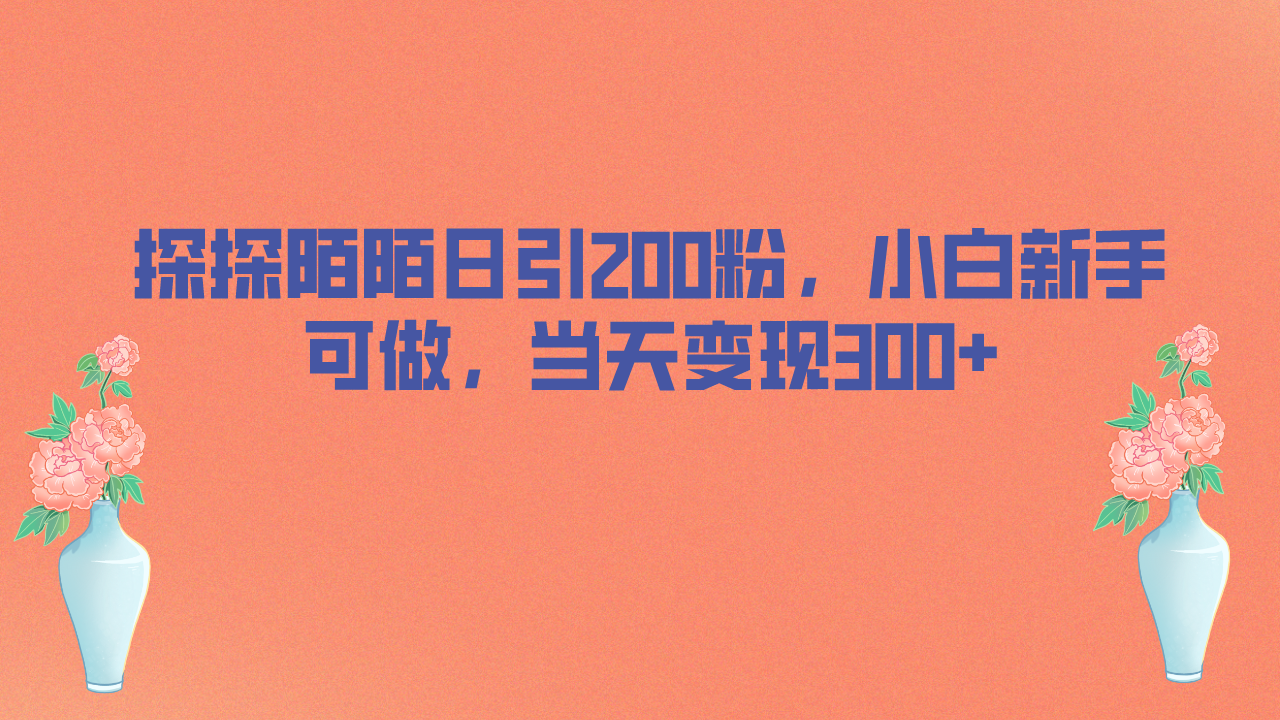 探探陌陌日引200粉，小白新手可做，当天就能变现300+ - 严选资源大全 - 严选资源大全