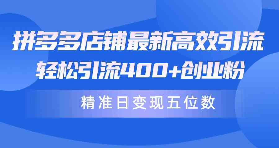 （10041期）拼多多店铺最新高效引流术，轻松引流400+创业粉，精准日变现五位数！ - 严选资源大全 - 严选资源大全