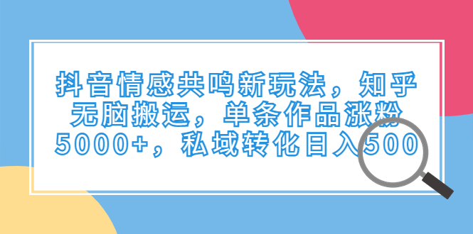 抖音情感共鸣新玩法，知乎无脑搬运，单条作品涨粉5000+，私域转化日入500 - 严选资源大全 - 严选资源大全