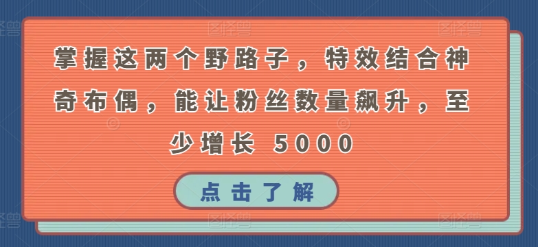 掌握这两个野路子，特效结合神奇布偶，能让粉丝数量飙升，至少增长 5000 - 严选资源大全 - 严选资源大全