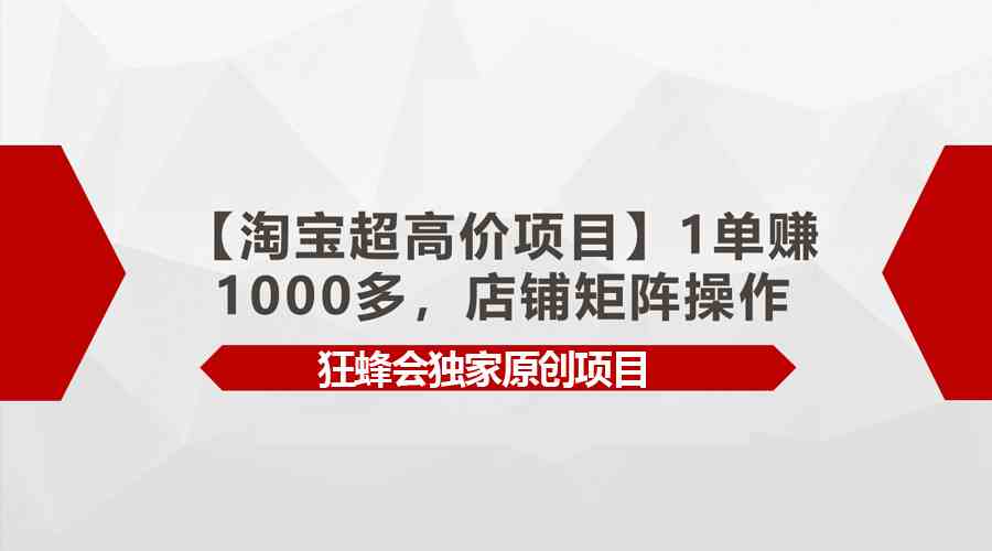 （9849期）【淘宝超高价项目】1单赚1000多，店铺矩阵操作 - 严选资源大全 - 严选资源大全