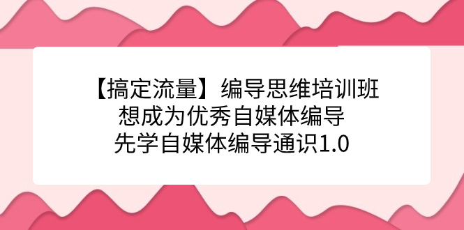 【搞定流量】编导思维培训班，想成为优秀自媒体编导先学自媒体编导通识1.0 - 严选资源大全 - 严选资源大全