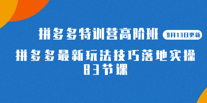 2023拼多多·特训营高阶班【9月19日更新】拼多多最新玩法技巧落地实操-83节 - 严选资源大全 - 严选资源大全