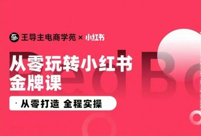 王导主·小红书电商运营实操课，​从零打造  全程实操 - 严选资源大全 - 严选资源大全