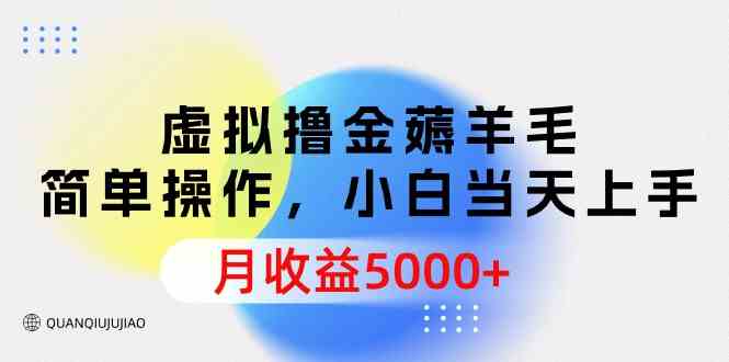 （9864期）虚拟撸金薅羊毛，简单操作，小白当天上手，月收益5000+ - 严选资源大全 - 严选资源大全