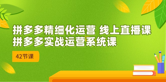 拼多多精细化运营 线上直播课：拼多多实战运营系统课（更新47节） - 严选资源大全 - 严选资源大全