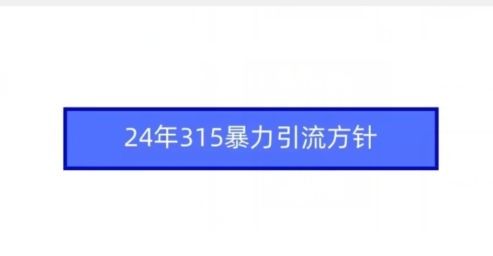 24年315暴力引流方针 - 严选资源大全 - 严选资源大全