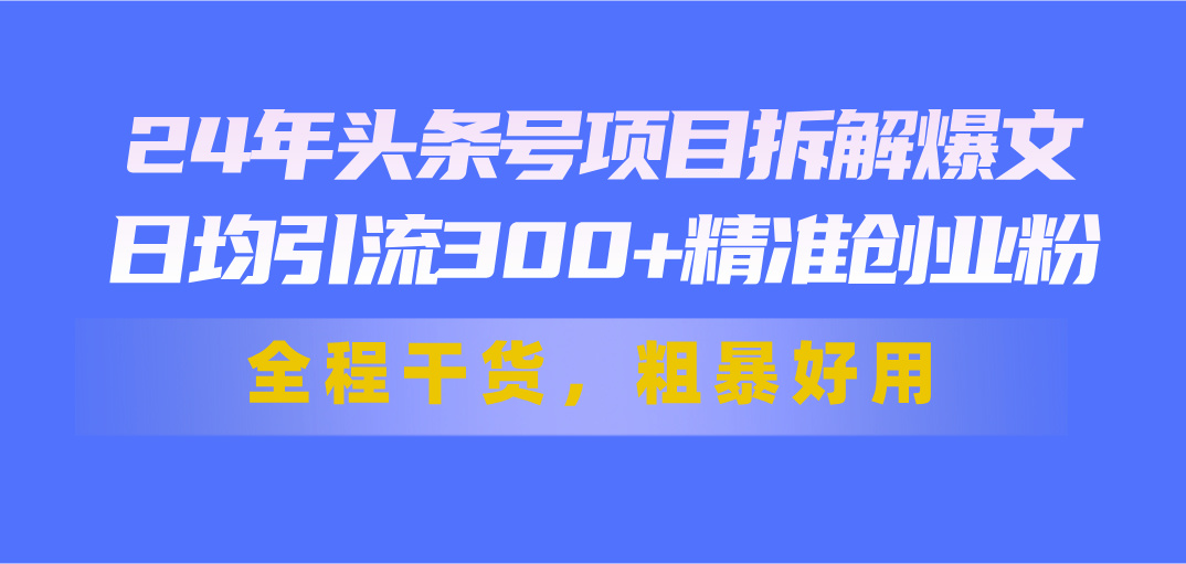 24年头条号项目拆解爆文，日均引流300+精准创业粉，全程干货，粗暴好用 - 严选资源大全 - 严选资源大全