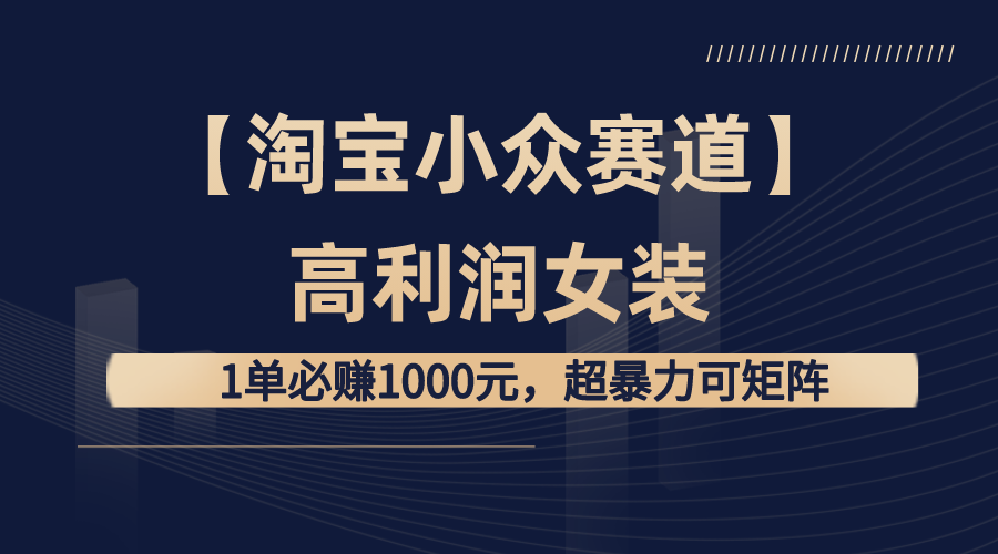 【淘宝小众赛道】高利润女装：1单必赚1000元，超暴力可矩阵 - 严选资源大全 - 严选资源大全