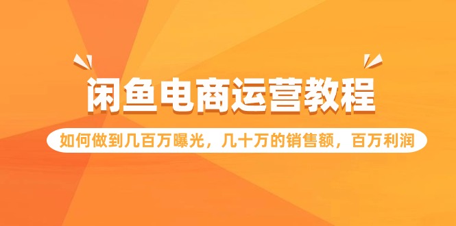 闲鱼电商运营教程：如何做到几百万曝光，几十万的销售额，百万利润 - 严选资源大全 - 严选资源大全