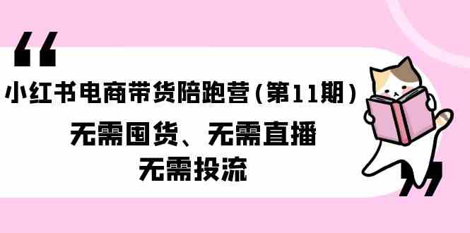 （9996期）小红书电商带货陪跑营(第11期)无需囤货、无需直播、无需投流（送往期10套） - 严选资源大全 - 严选资源大全