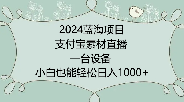 2024年蓝海项目，支付宝素材直播，无需出境，小白也能日入1000+ ，实操教程 - 严选资源大全 - 严选资源大全