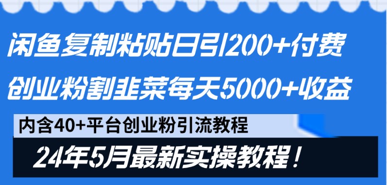 闲鱼复制粘贴日引200+付费创业粉，24年5月最新方法！割韭菜日稳定5000+收益 - 严选资源大全 - 严选资源大全