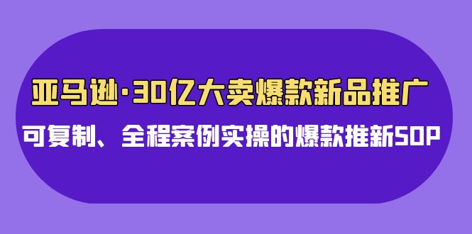 亚马逊30亿大卖爆款新品推广，可复制、全程案例实操的爆款推新SOP - 严选资源大全 - 严选资源大全