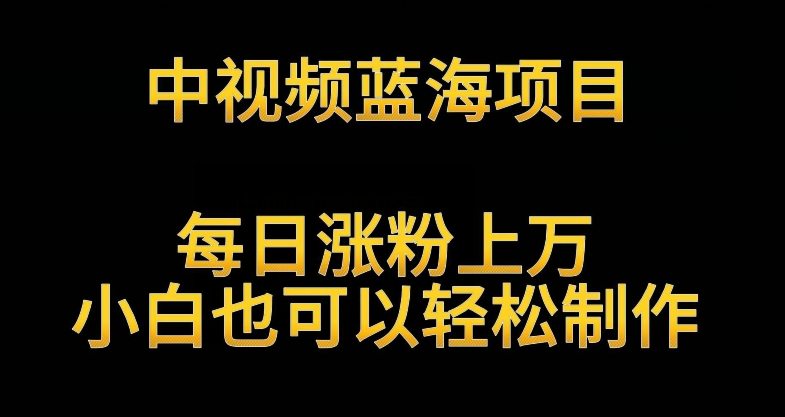 中视频蓝海项目，解读英雄人物生平，每日涨粉上万，小白也可以轻松制作，月入过万不是梦 - 严选资源大全 - 严选资源大全