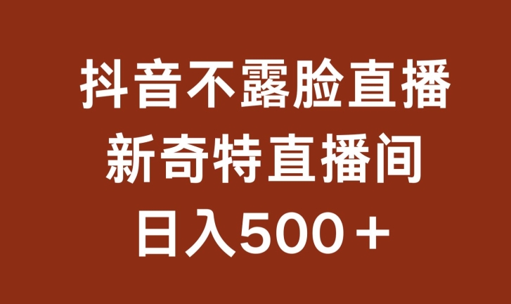 不露脸挂机直播，新奇特直播间，日入500+ - 严选资源大全 - 严选资源大全