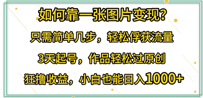 如何靠一张图片变现?只需简单几步，轻松俘获流量，3天起号，作品轻松过原创 - 严选资源大全 - 严选资源大全