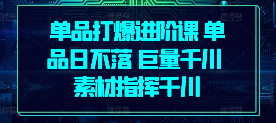 单品打爆进阶课 单品日不落 巨量千川 素材指挥千川 - 严选资源大全 - 严选资源大全