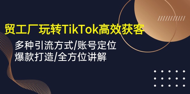 外贸工厂玩转TikTok高效获客，多种引流方式/账号定位/爆款打造/全方位讲解 - 严选资源大全 - 严选资源大全