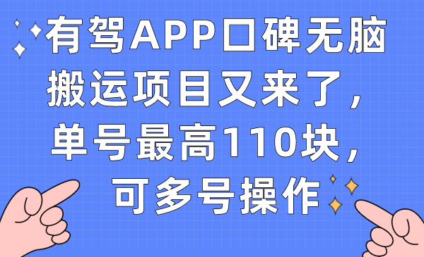 有驾APP口碑无脑搬运项目又来了，单号最高110块，可多号操作 - 严选资源大全 - 严选资源大全