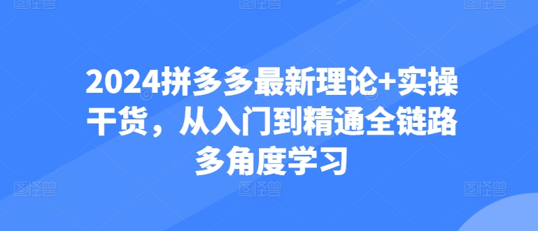 2024拼多多最新理论+实操干货，从入门到精通全链路多角度学习 - 严选资源大全 - 严选资源大全