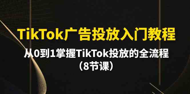 （10085期）TikTok广告投放入门教程，从0到1掌握TikTok投放的全流程（8节课） - 严选资源大全 - 严选资源大全