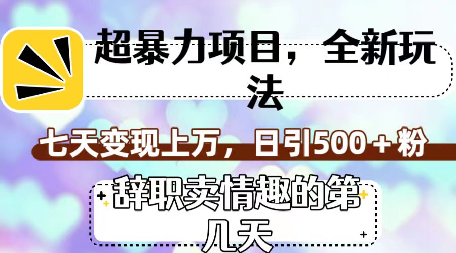 超暴利项目，全新玩法（辞职卖情趣的第几天），七天变现上万，日引500+粉 - 严选资源大全 - 严选资源大全