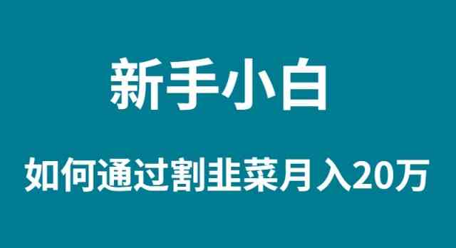 （9308期）新手小白如何通过割韭菜月入 20W - 严选资源大全 - 严选资源大全