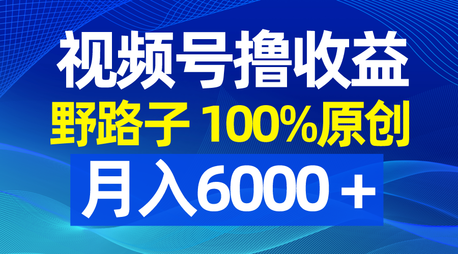 视频号野路子撸收益，100%原创，条条爆款，月入6000＋ - 严选资源大全 - 严选资源大全