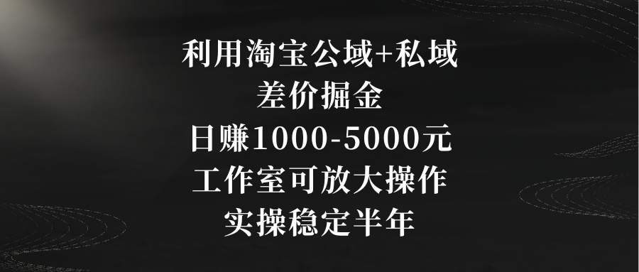 利用淘宝公域+私域差价掘金，日赚1000-5000元，工作室可放大操作，实操… - 严选资源大全 - 严选资源大全