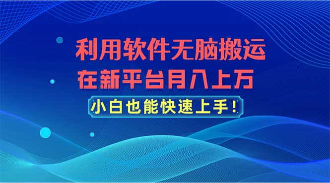 利用软件无脑搬运，在新平台月入上万，小白也能快速上手 - 严选资源大全 - 严选资源大全