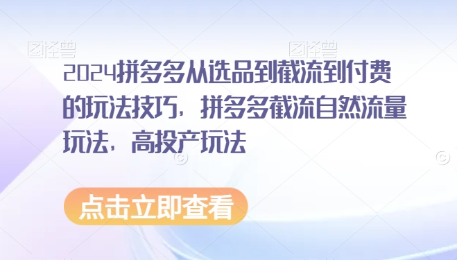 2024拼多多从选品到截流到付费的玩法技巧，拼多多截流自然流量玩法，高投产玩法 - 严选资源大全 - 严选资源大全