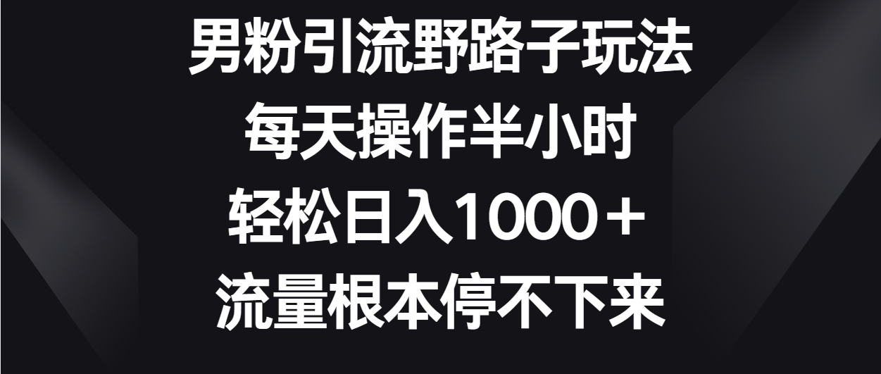 男粉引流野路子玩法，每天操作半小时轻松日入1000＋，流量根本停不下来 - 严选资源大全 - 严选资源大全