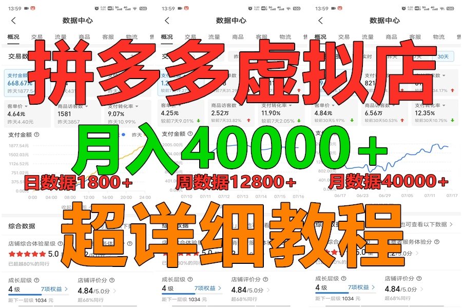 拼多多虚拟电商训练营月入40000+，全网最详细，你做你也行，暴利稳定长久 - 严选资源大全 - 严选资源大全