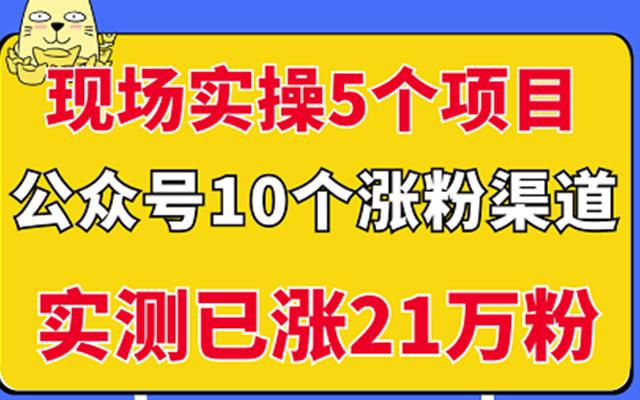 现场实操5个公众号项目，10个涨粉渠道，实测已涨21万粉！￼ - 严选资源大全 - 严选资源大全