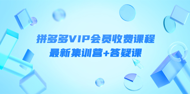 某社群·拼多多VIP会员收费课程，最新集训营+答疑课-价值3299元￼ - 严选资源大全 - 严选资源大全