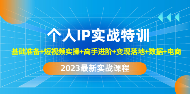 2023个人IP实战特训：基础准备+短视频实操+高手进阶+变现落地+数据+电商 - 严选资源大全 - 严选资源大全