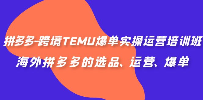 拼多多-跨境TEMU爆单实操运营培训班，海外拼多多的选品、运营、爆单 - 严选资源大全 - 严选资源大全