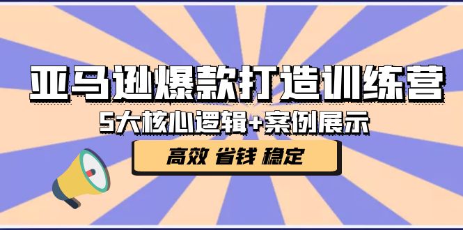 亚马逊爆款打造训练营：5大核心逻辑+案例展示 打造爆款链接 高效 省钱 稳定 - 严选资源大全 - 严选资源大全