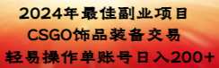 2024年最佳副业项目 CSGO饰品装备交易 轻易操作单账号日入200+ - 严选资源大全 - 严选资源大全