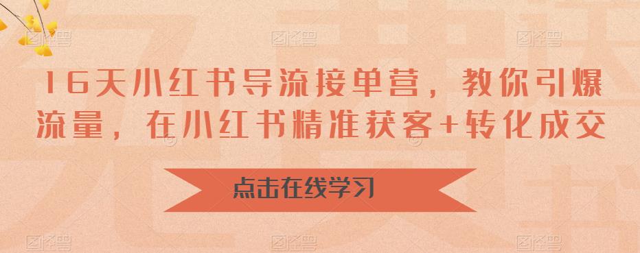 16天-小红书 导流接单营，教你引爆流量，在小红书精准获客+转化成交 - 严选资源大全 - 严选资源大全