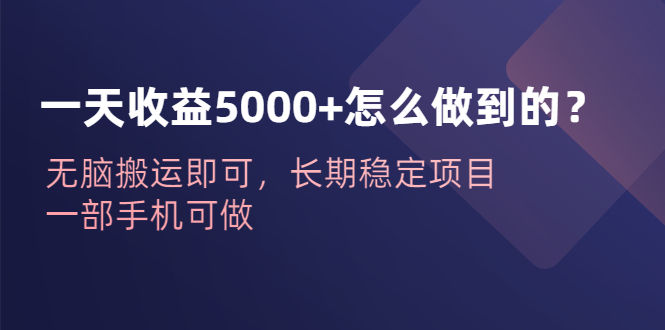 一天收益5000+怎么做到的？无脑搬运即可，长期稳定项目，一部手机可做 - 严选资源大全 - 严选资源大全